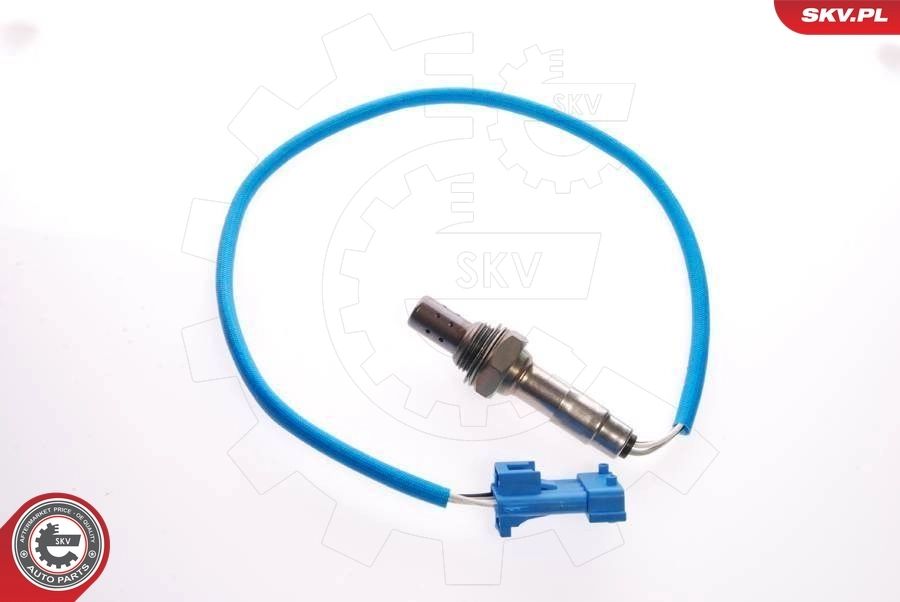 Oxygen Sensor